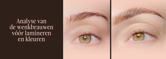 Analyse van de wenkbrauwen voor lamineren en kleuren