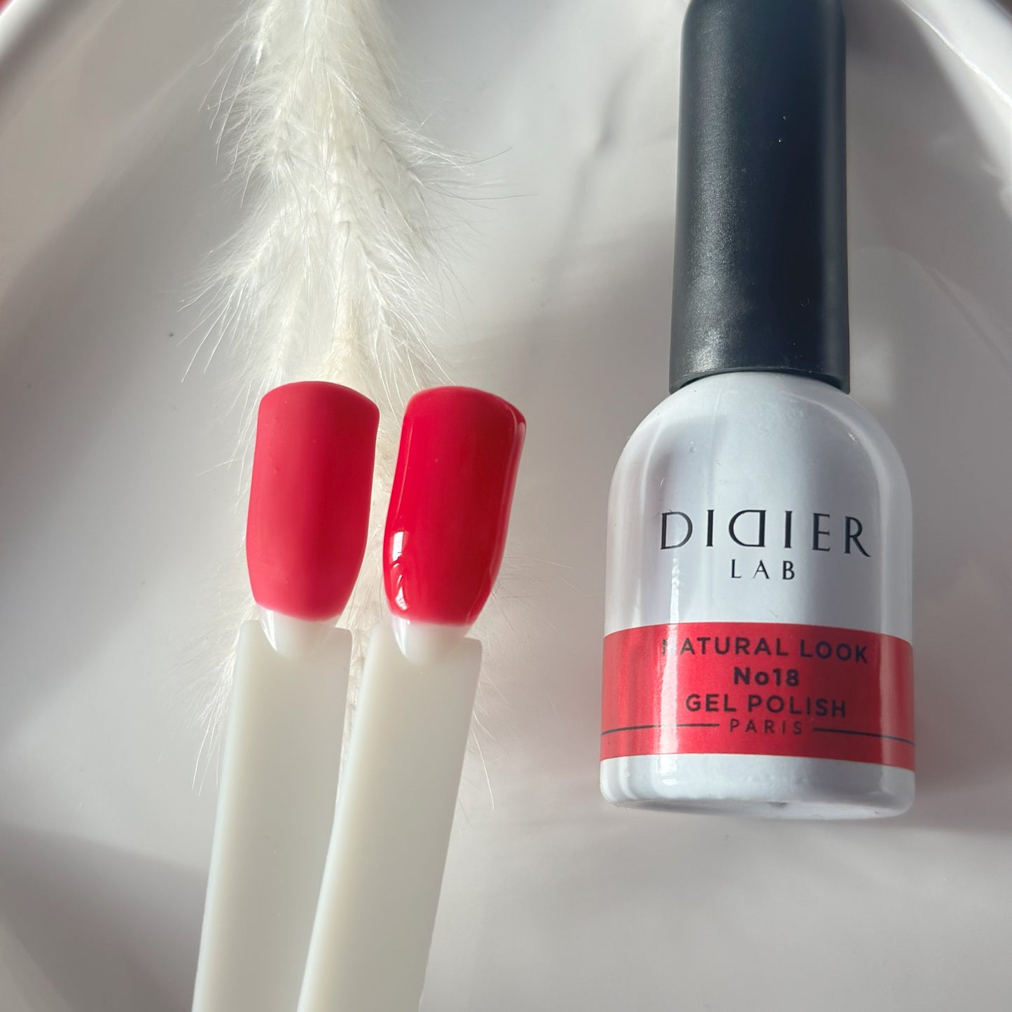 Gellak "Didier Lab", Natural look, No18
