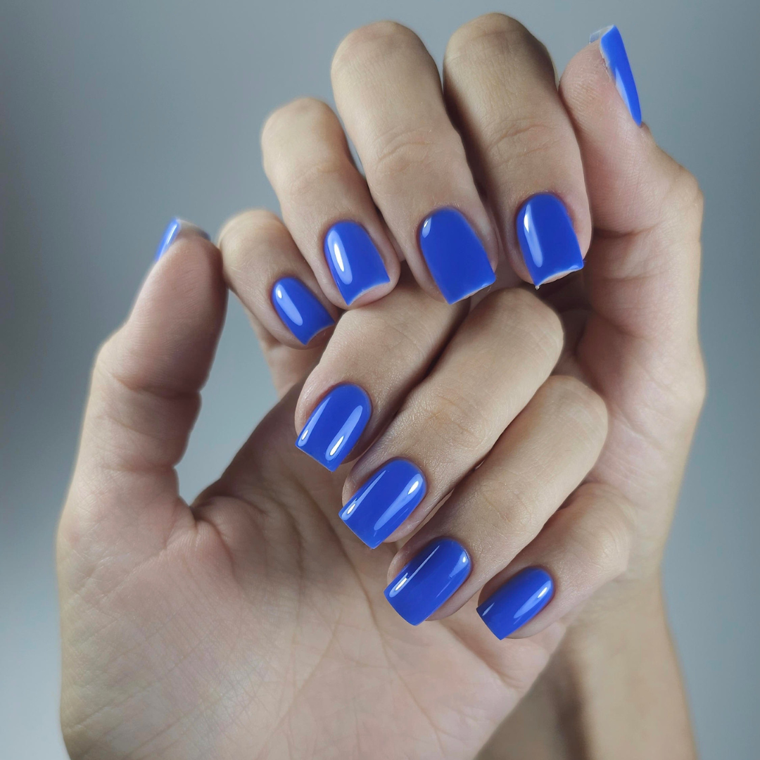 Builder Gel BBIO "Didier Lab" Rich Blue 15ml